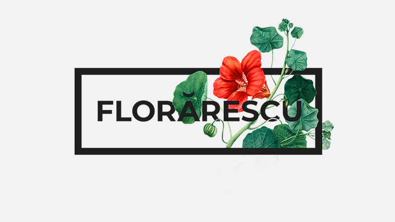 florarsecu marquee